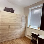 Rent 1 bedroom apartment of 45 m² in Brno