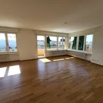 Rent 3 bedroom apartment in Zurich