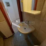 Rent 1 bedroom apartment of 33 m² in M unicipal Unit of Makrakomi