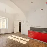 Rent 1 bedroom apartment of 30 m² in Studeněves