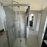 Rent 3 bedroom apartment of 99 m² in Bizzarone