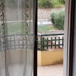 Rent 2 bedroom apartment of 40 m² in Perugia