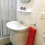 Rent 1 bedroom apartment in Prague