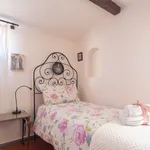 Rent 2 bedroom apartment of 45 m² in Florence