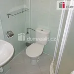 Rent 2 bedroom apartment of 48 m² in Břeclav