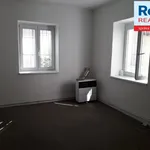 Rent 1 bedroom apartment of 28 m² in Liberec