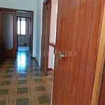 Rent 3 bedroom apartment of 100 m² in Frosinone