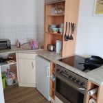 Rent 1 bedroom apartment of 33 m² in Dresden