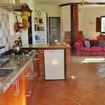 Rent 1 bedroom house of 2000 m² in Granada