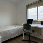 Rent a room of 70 m² in madrid