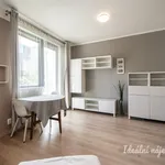 Pronajměte si 1 ložnic/e byt o rozloze 31 m² v Prague