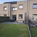 Rent 3 bedroom house in Lievegem