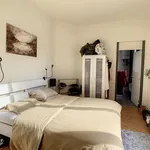 Rent 1 bedroom apartment in Leuven