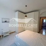 Rent 2 bedroom apartment of 74 m² in Milano