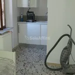 Rent 4 bedroom apartment of 100 m² in Senigallia