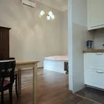 Rent 1 bedroom apartment of 25 m² in Budapest