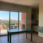 Rent 1 bedroom apartment of 50 m² in Roma