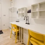 Rent 1 bedroom apartment in Brno