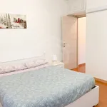 Rent 2 bedroom apartment of 45 m² in Pisa