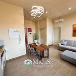 Rent 2 bedroom apartment of 55 m² in Pisa