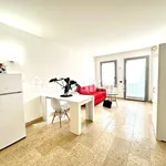 Rent 1 bedroom apartment of 40 m² in Bergamo