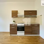 Rent 1 bedroom apartment of 43 m² in Capital City of Prague