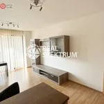 Rent 1 bedroom apartment of 33 m² in Brno