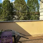 Rent 3 bedroom apartment of 100 m² in Torino