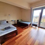 Pronajměte si 3 ložnic/e byt o rozloze 190 m² v Prague