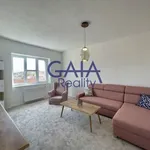 Rent 1 bedroom apartment of 38 m² in Strážnice