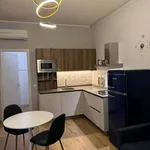 Rent 1 bedroom apartment of 40 m² in Monza