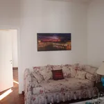 Rent 4 bedroom apartment of 50 m² in Bologna