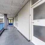 Rent 4 bedroom apartment in Heerlen