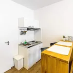 Studio of 25 m² in Prague