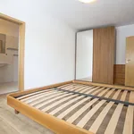 Rent 4 bedroom apartment of 134 m² in Capital City of Prague