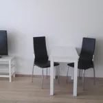 Rent 2 bedroom apartment of 52 m² in Prague