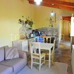 Rent 3 bedroom apartment of 85 m² in Pietrasanta