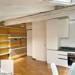 Rent 1 bedroom apartment of 45 m² in Mantua