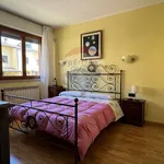 Rent 9 bedroom house of 160 m² in L'Aquila