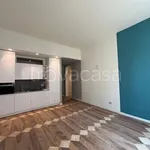 Rent 2 bedroom apartment of 55 m² in Bergamo