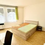 Rent 1 bedroom apartment of 25 m² in Třeboň