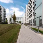 Rent 1 bedroom apartment of 37 m² in Berlin