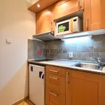 Rent 1 bedroom apartment of 30 m² in Praha