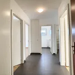 Magnifique logement particulièrement lumineux !