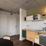 Rent 2 bedroom apartment of 689 m² in Berlin