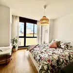 Alquilo 1 dormitorio apartamento de 31 m² en Las Palmas de Gran Canaria