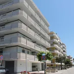 Rent 3 bedroom apartment of 70 m² in Alba Adriatica