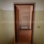 Rent 2 bedroom apartment of 71 m² in Bologna