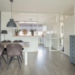 Rent 4 bedroom apartment of 89 m² in Boerhaavekwartier