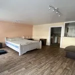 Rent 1 bedroom apartment in Épinal